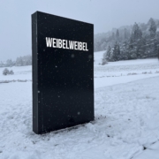 WeibelWeibel-neuer-Pylon_Wagner-Schriften WeibelWeibel-neuer-Pylon_Wagner-Schriften