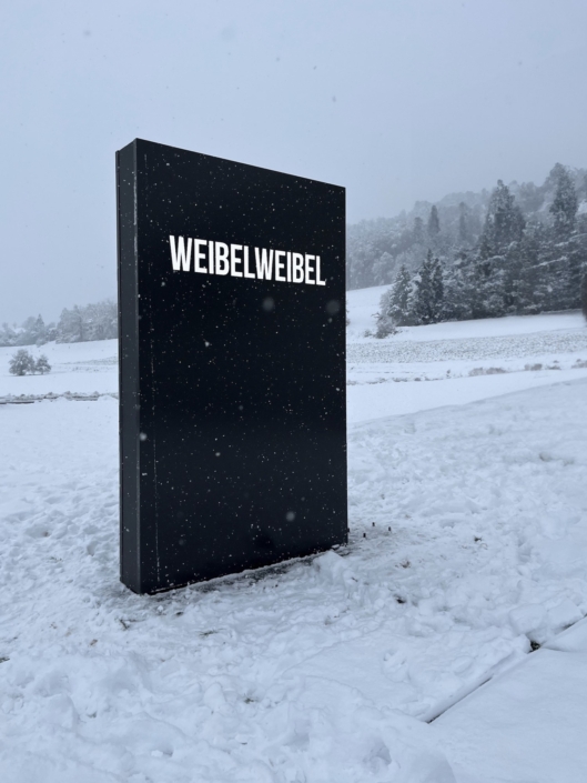 WeibelWeibel-neuer-Pylon_Wagner-Schriften